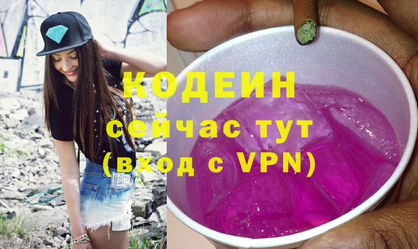 сатива Бородино