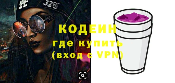 сатива Бородино