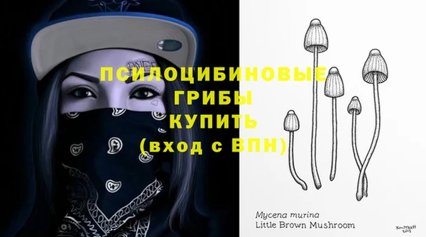 сатива Бородино