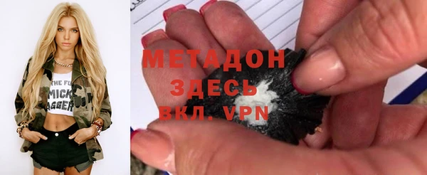сатива Бородино