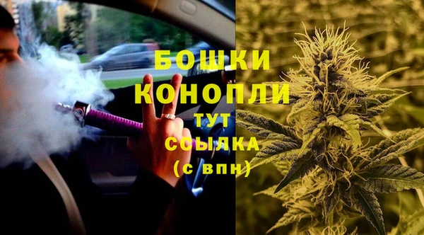 сатива Бородино