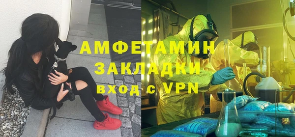 сатива Бородино