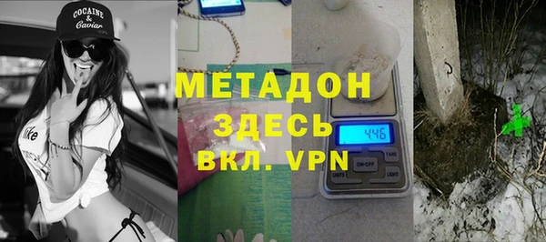 сатива Бородино