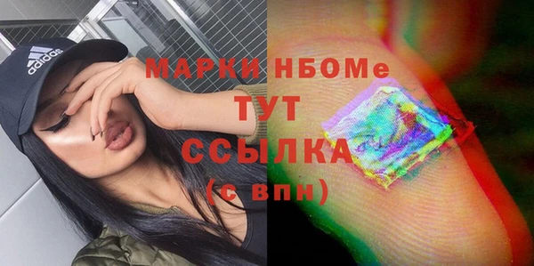 сатива Бородино