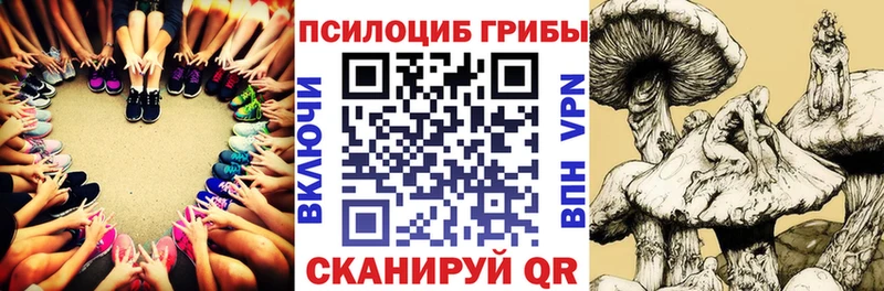 Галлюциногенные грибы Magic Shrooms  это какой сайт  Межгорье  блэк спрут как зайти 